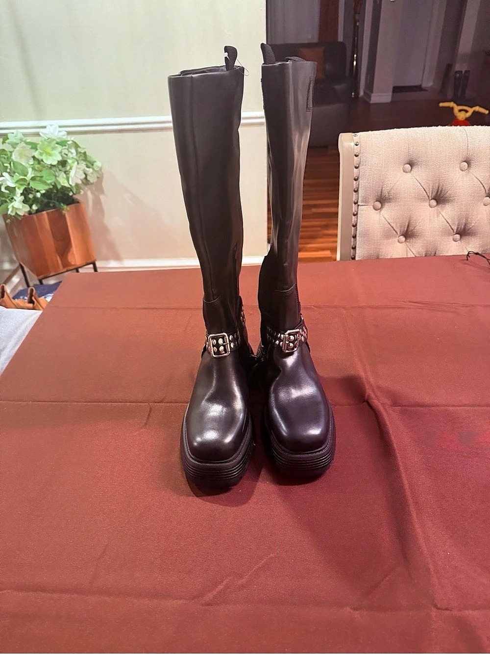 Circus NY Studded Moto Boots in Black US Brand New